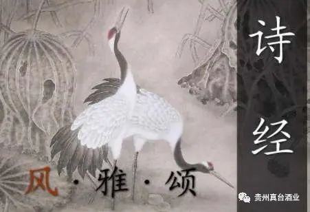 真臺(tái)酒 圖片